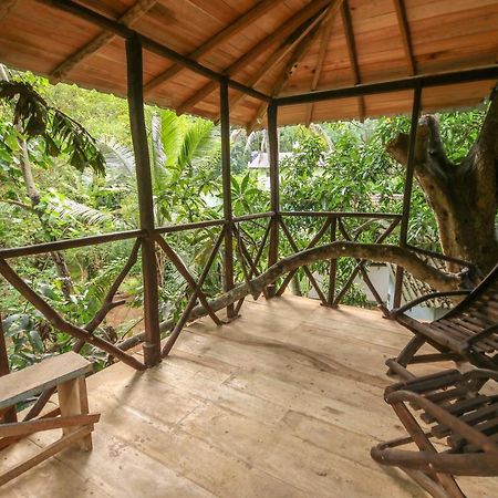 Green Park Safari House & Eco Tree House Удавалаве Экстерьер фото