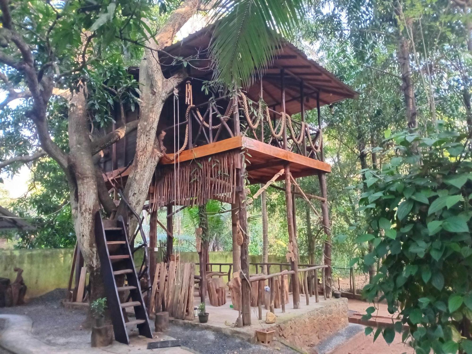 Green Park Safari House & Eco Tree House Удавалаве Экстерьер фото