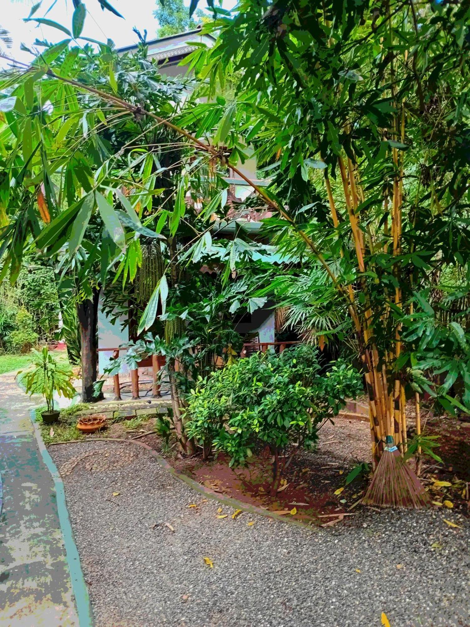 Green Park Safari House & Eco Tree House Удавалаве Экстерьер фото