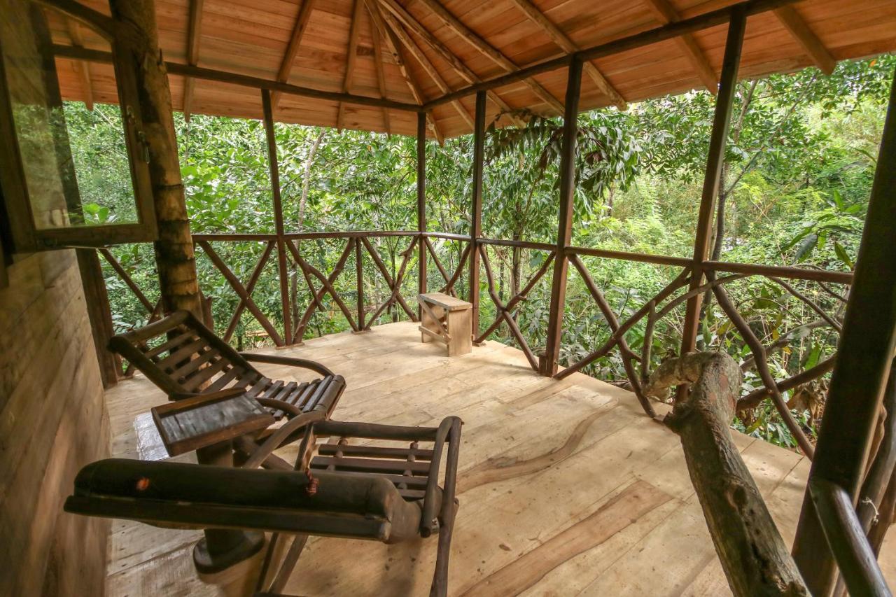 Green Park Safari House & Eco Tree House Удавалаве Экстерьер фото